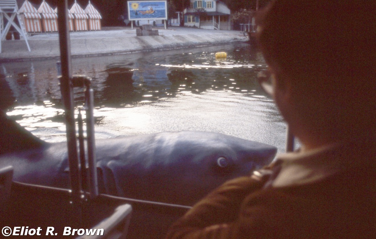 When in Southern California visit Universal Studios! Tom smiling with professional courtesy. Bruce, the giant shark from Jaws! smiling back.